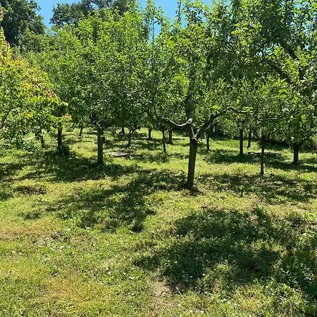 Отель Megara; Havuzlu, Denize Yakin Izole Bir Alan 4*